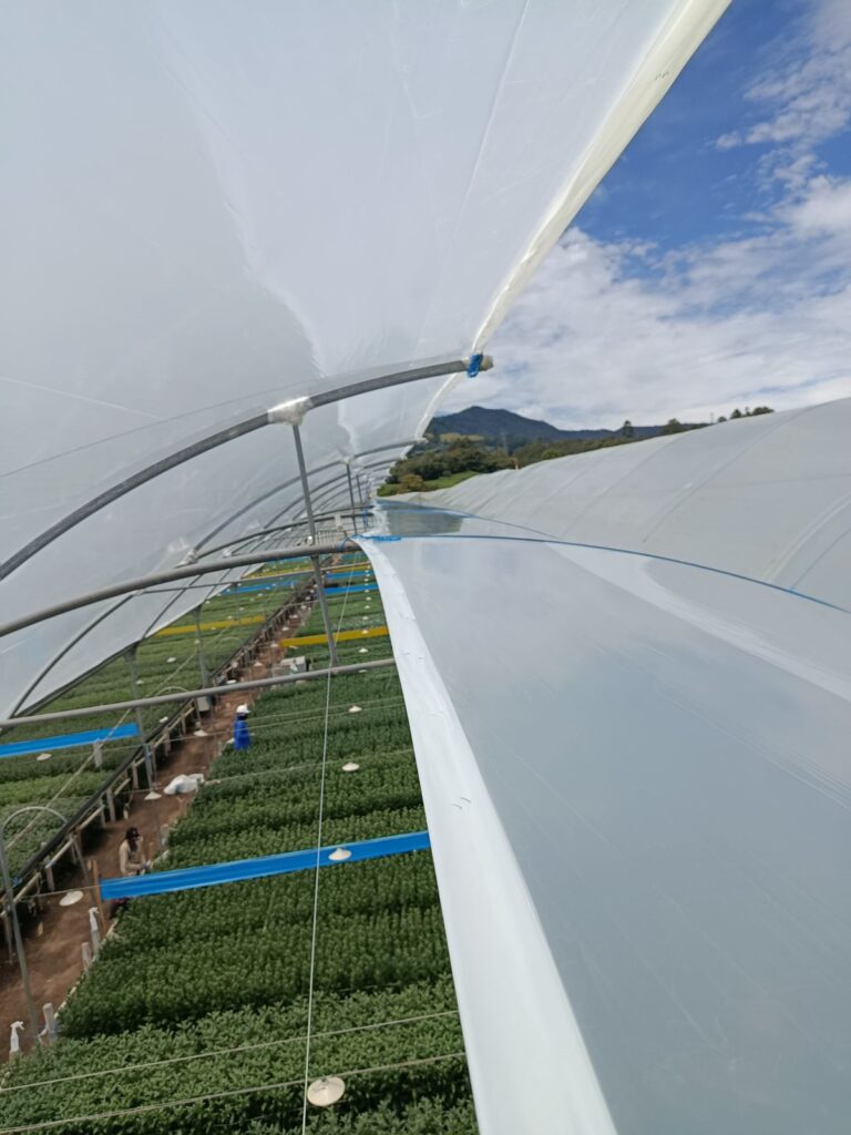 Invernaderos Metálicos Colombia