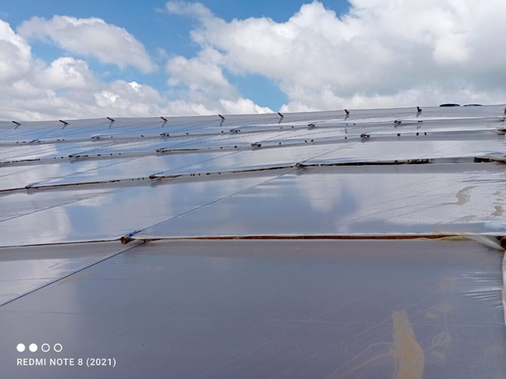 Mantenimiento sencillo y bajo costo invernaderos en guadua